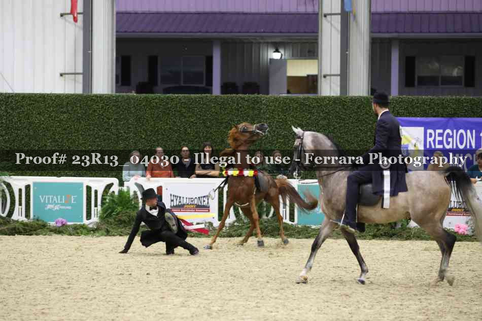 Proof Number 23R13_04030