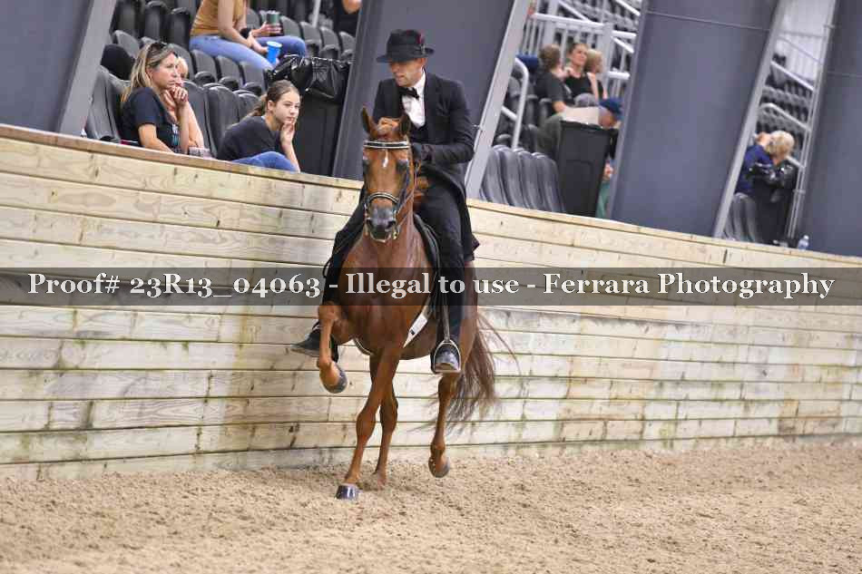 Proof Number 23R13_04063