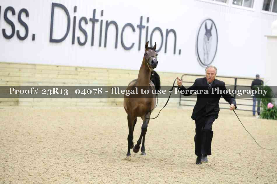 Proof Number 23R13_04078