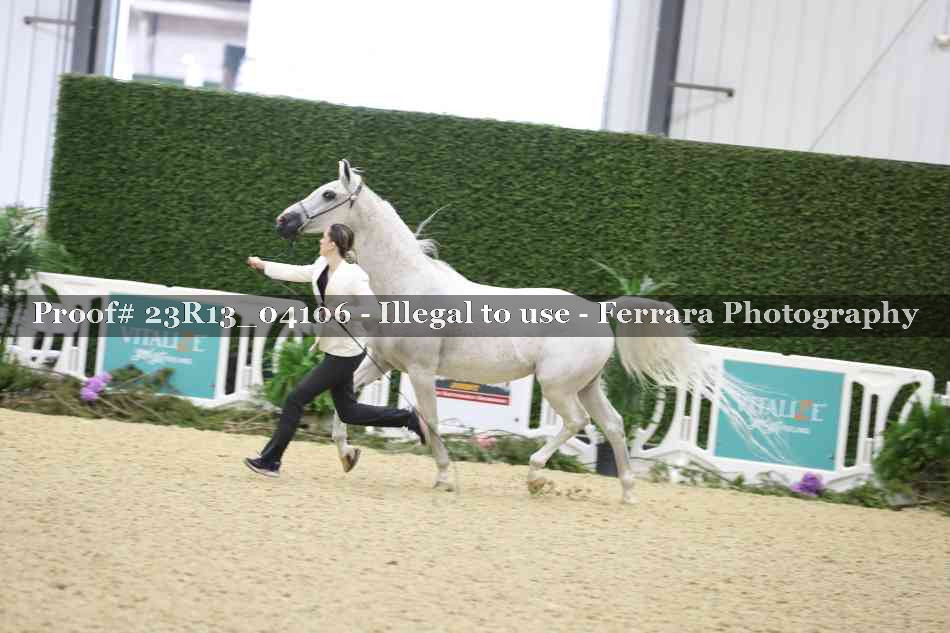 Proof Number 23R13_04106