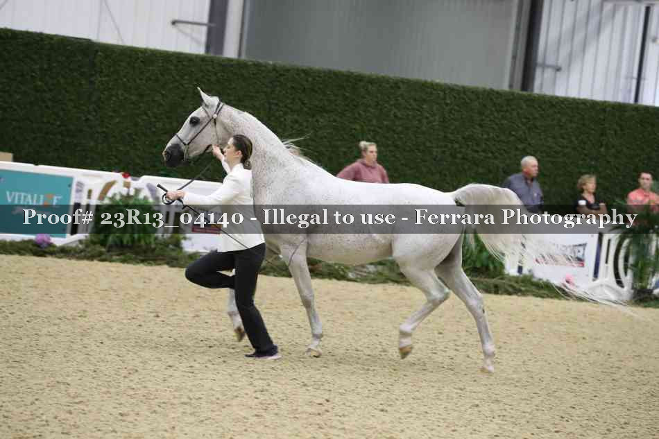 Proof Number 23R13_04140