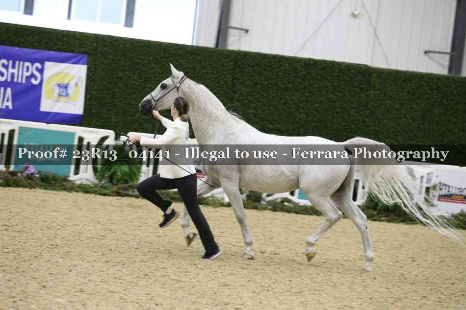 Proof Number 23R13_04141