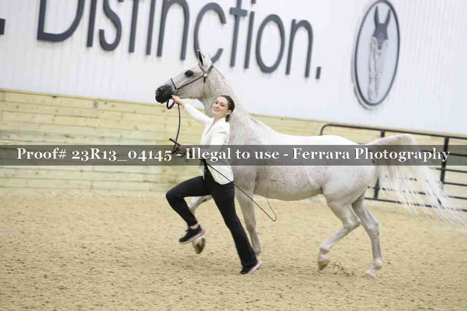 Proof Number 23R13_04145