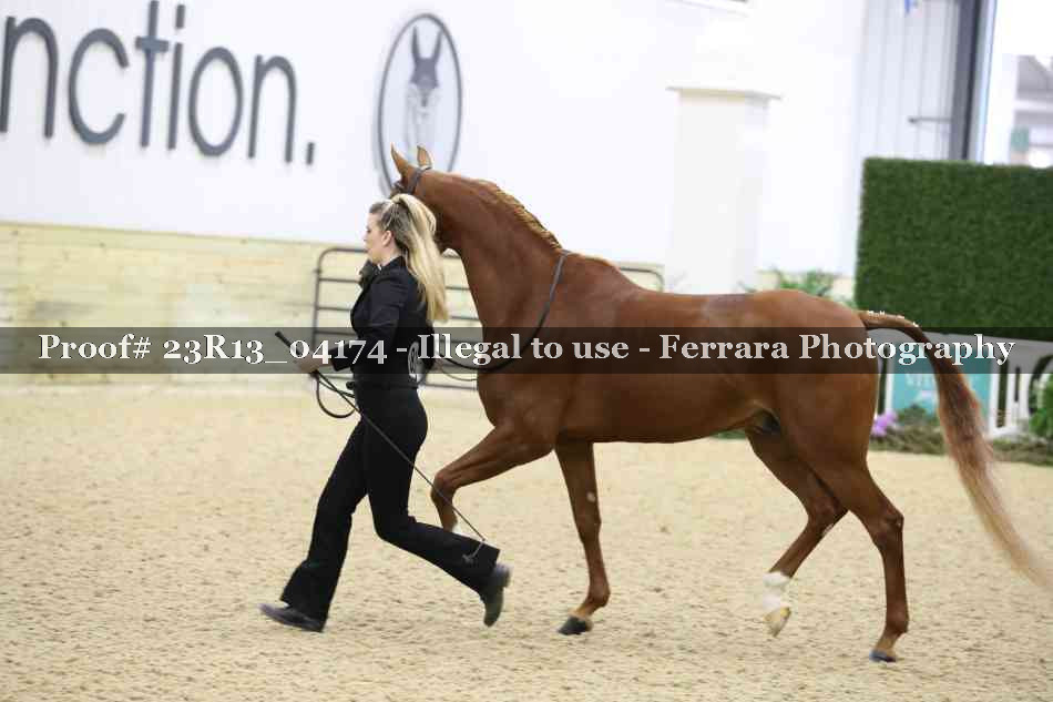 Proof Number 23R13_04174