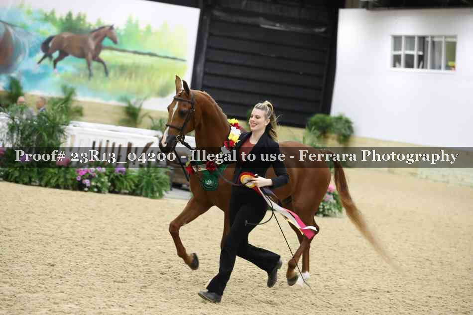 Proof Number 23R13_04200