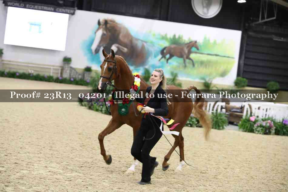 Proof Number 23R13_04201