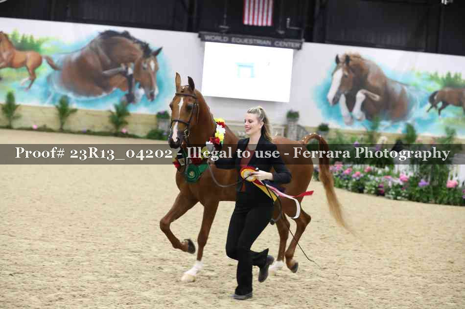 Proof Number 23R13_04202
