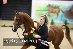 23R13_04203 thumbnail