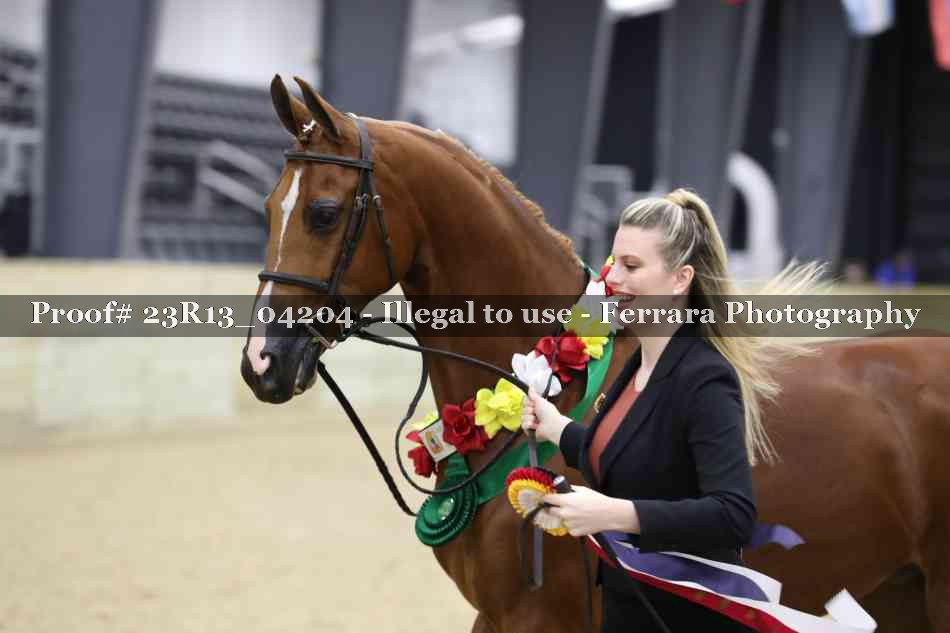 Proof Number 23R13_04204
