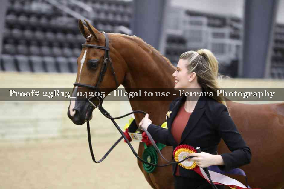 Proof Number 23R13_04205