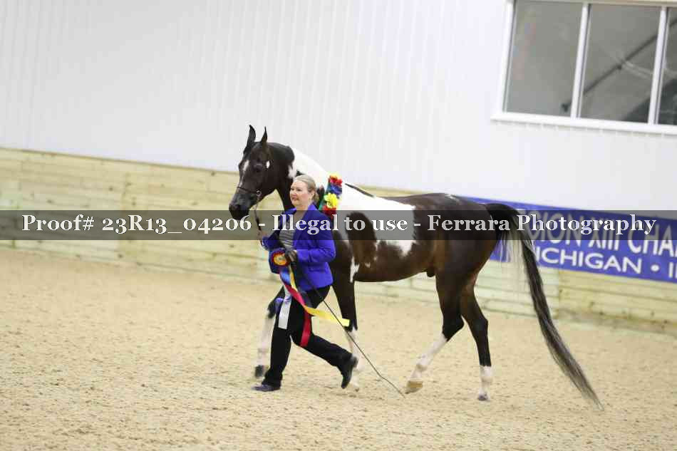 Proof Number 23R13_04206