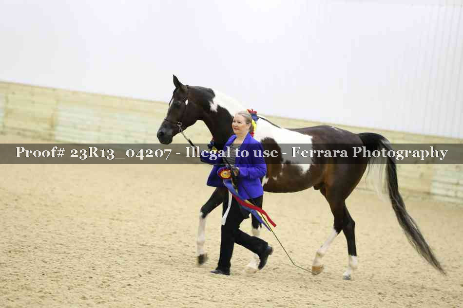 Proof Number 23R13_04207
