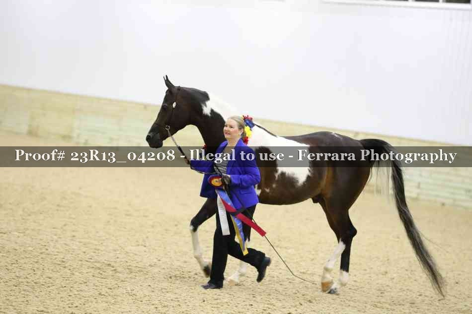 Proof Number 23R13_04208
