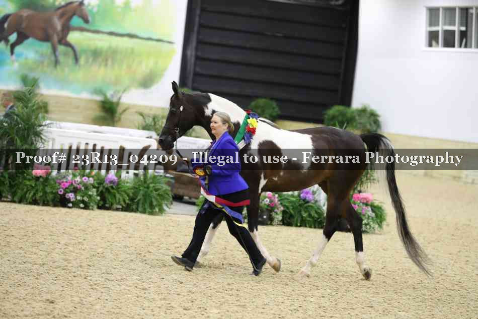 Proof Number 23R13_04209