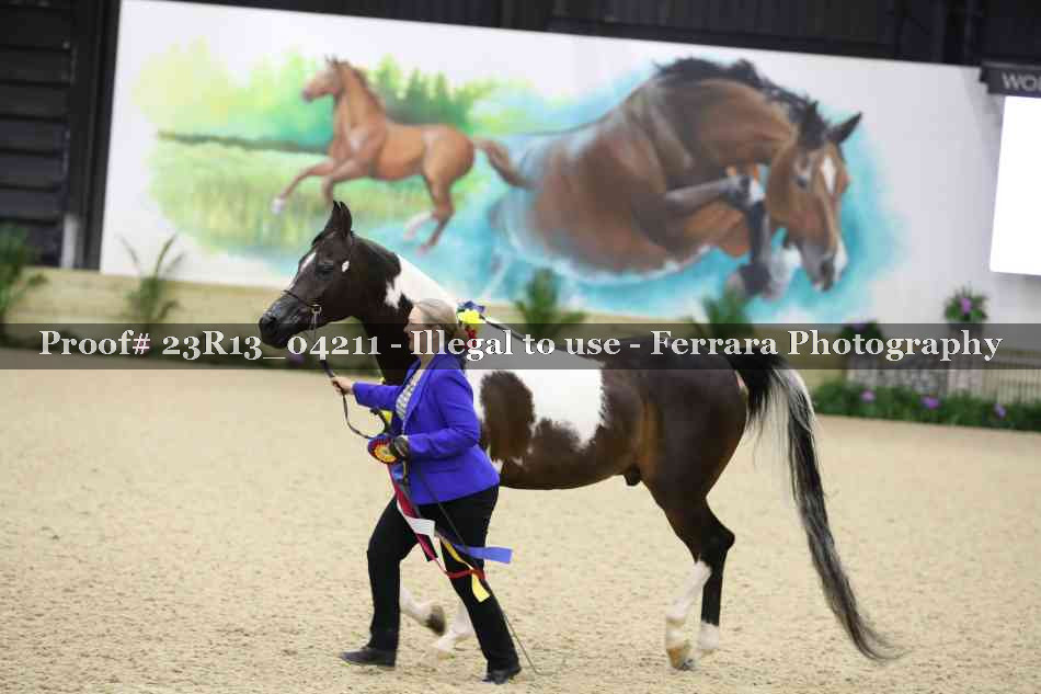 Proof Number 23R13_04211