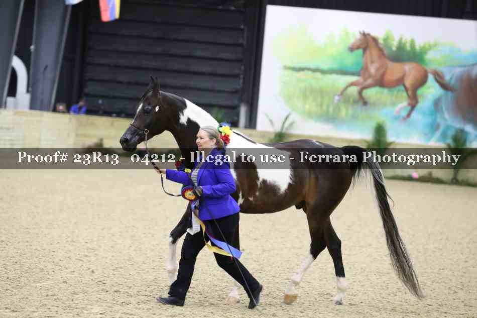 Proof Number 23R13_04212