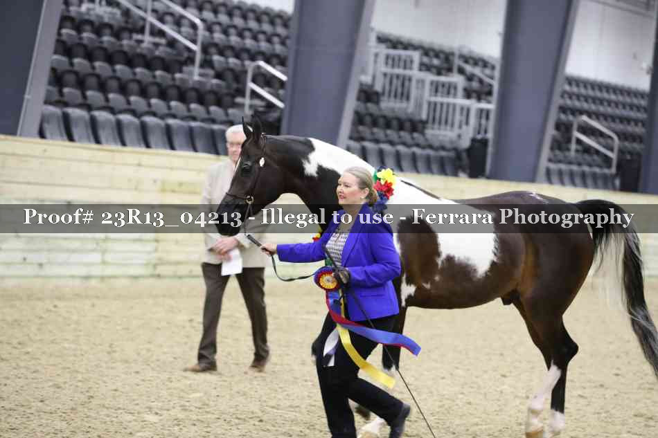 Proof Number 23R13_04213