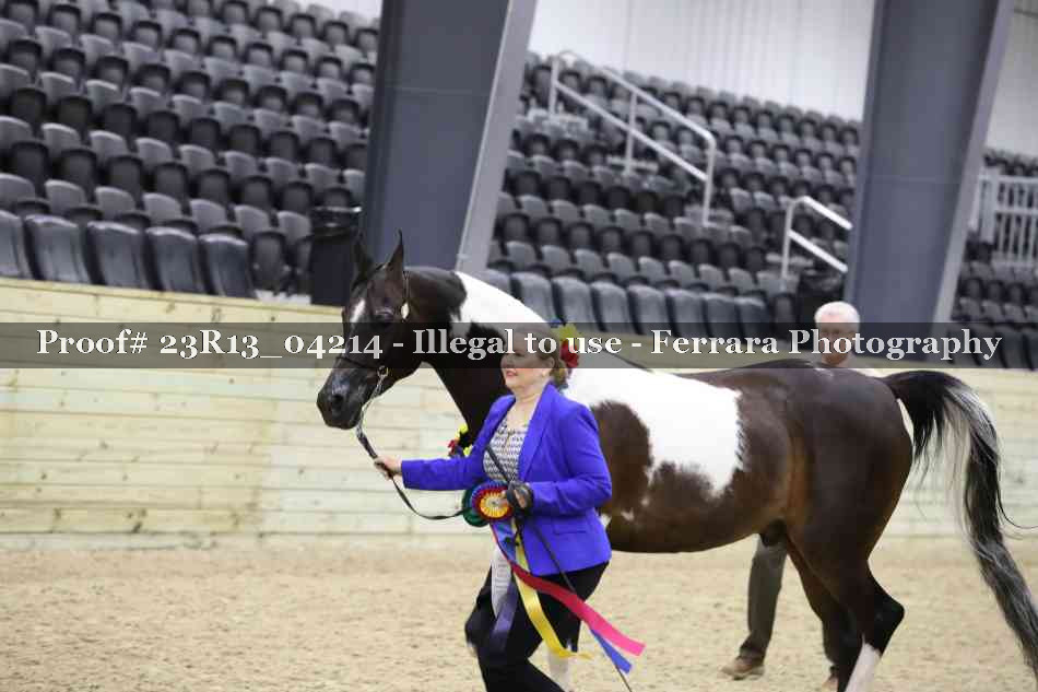 Proof Number 23R13_04214