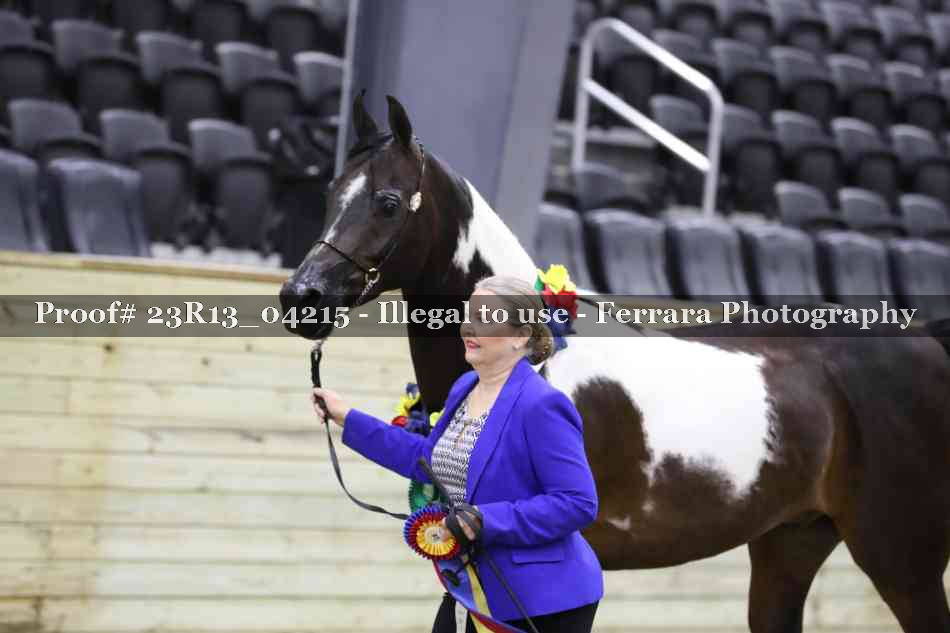 Proof Number 23R13_04215