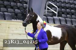 23R13_04215 thumbnail