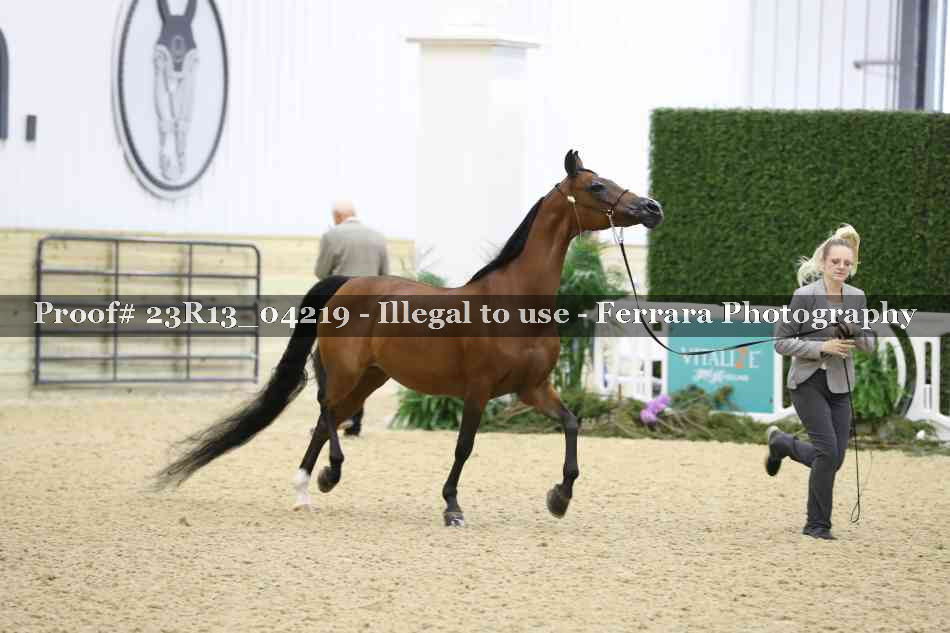 Proof Number 23R13_04219