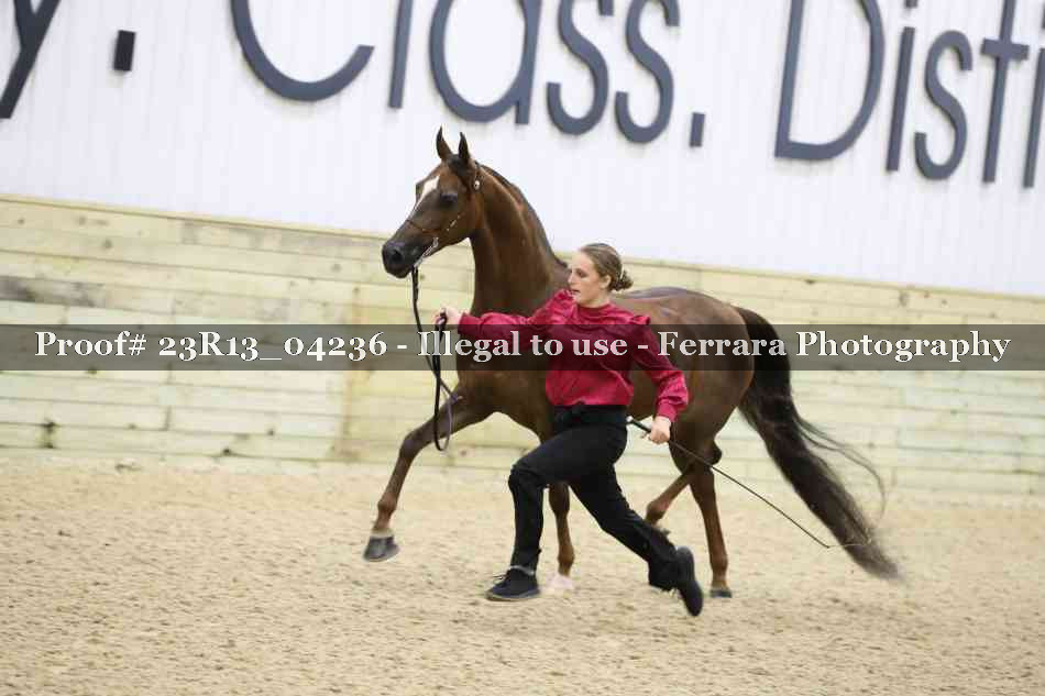 Proof Number 23R13_04236