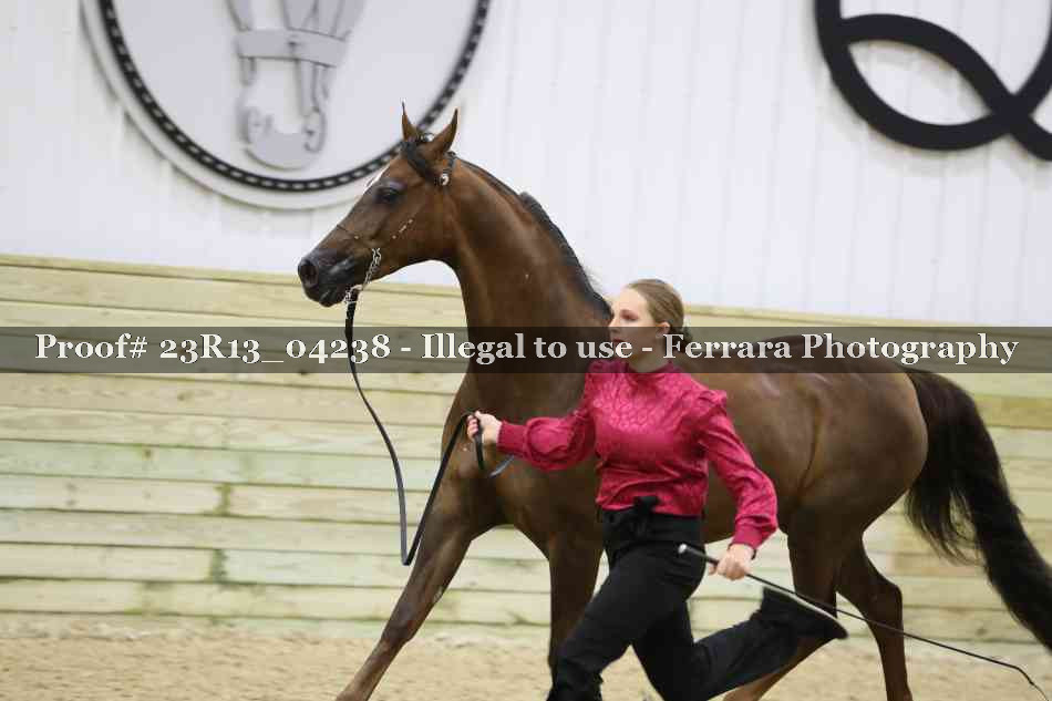 Proof Number 23R13_04238