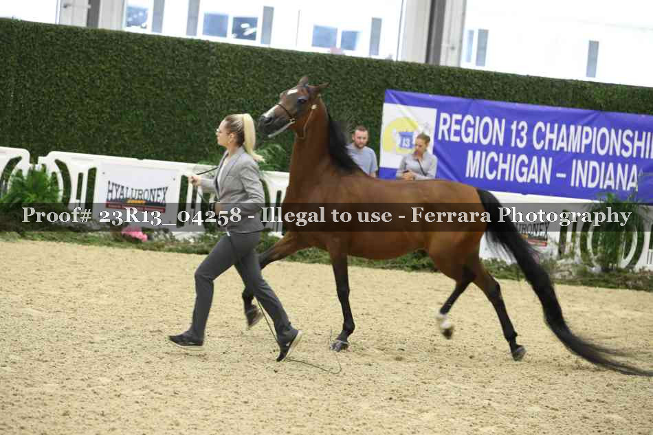 Proof Number 23R13_04258