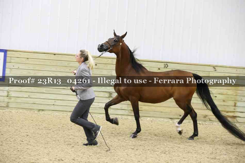 Proof Number 23R13_04261