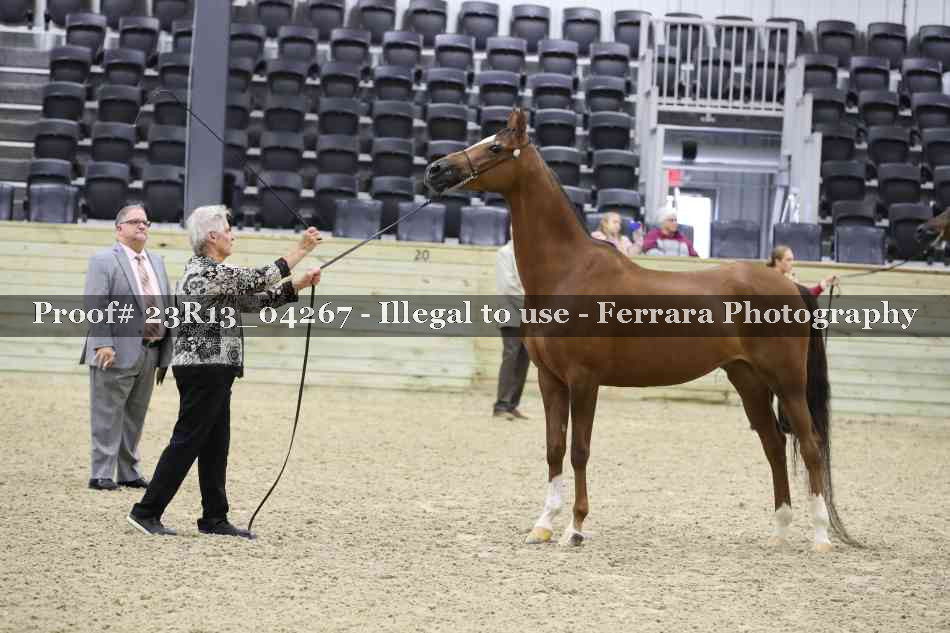 Proof Number 23R13_04267