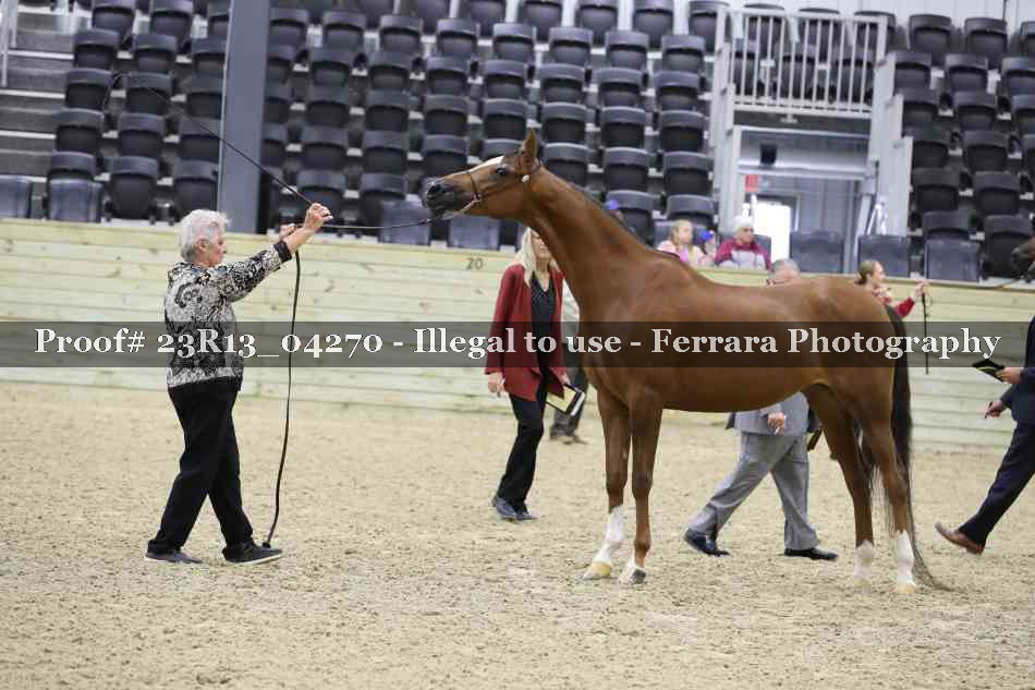 Proof Number 23R13_04270
