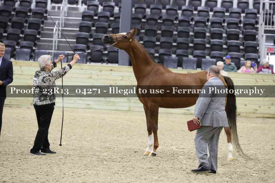 Proof Number 23R13_04271