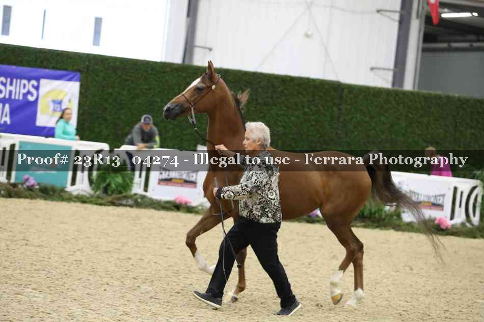 Proof Number 23R13_04274