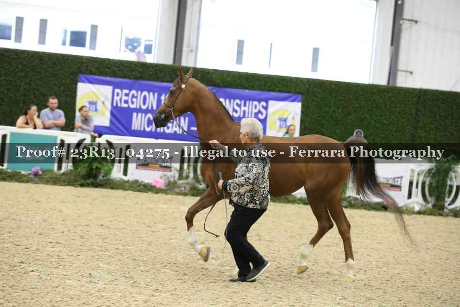 Proof Number 23R13_04275