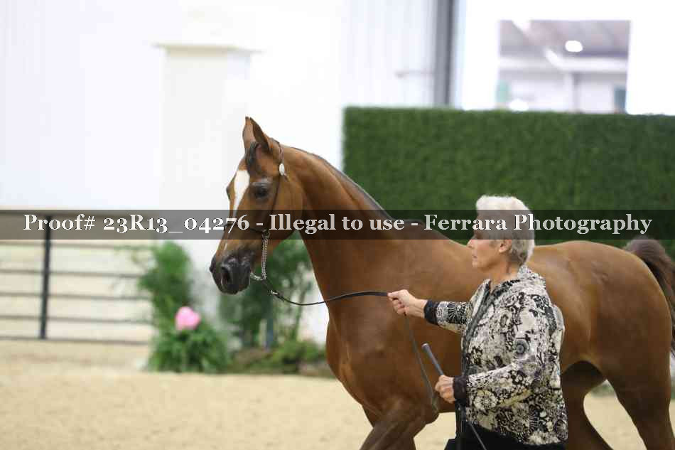 Proof Number 23R13_04276