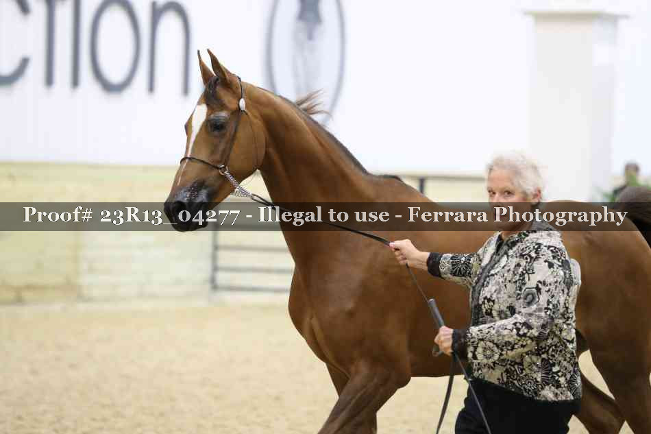 Proof Number 23R13_04277