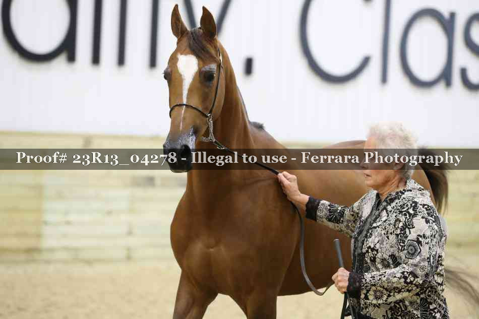 Proof Number 23R13_04278