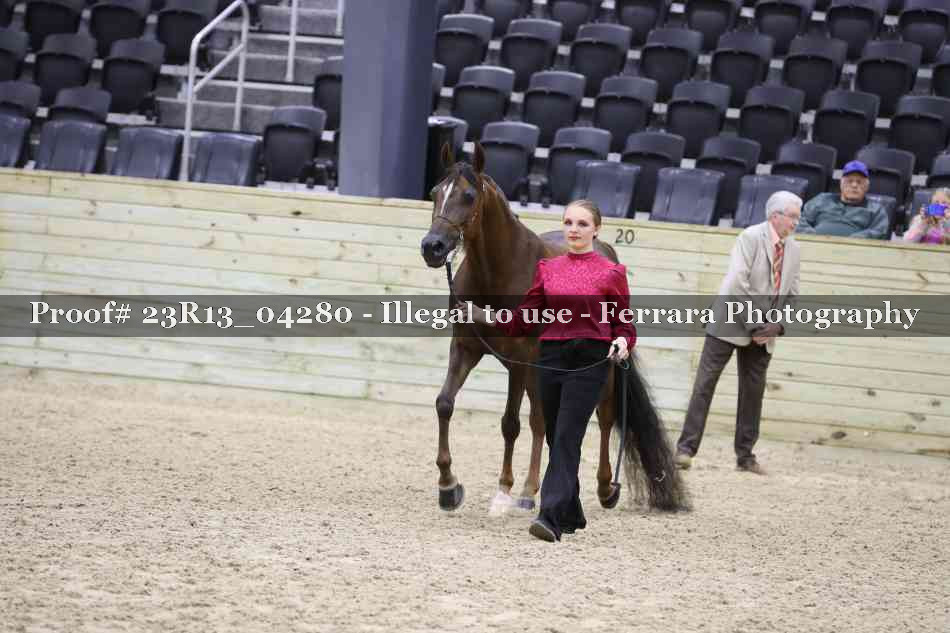 Proof Number 23R13_04280
