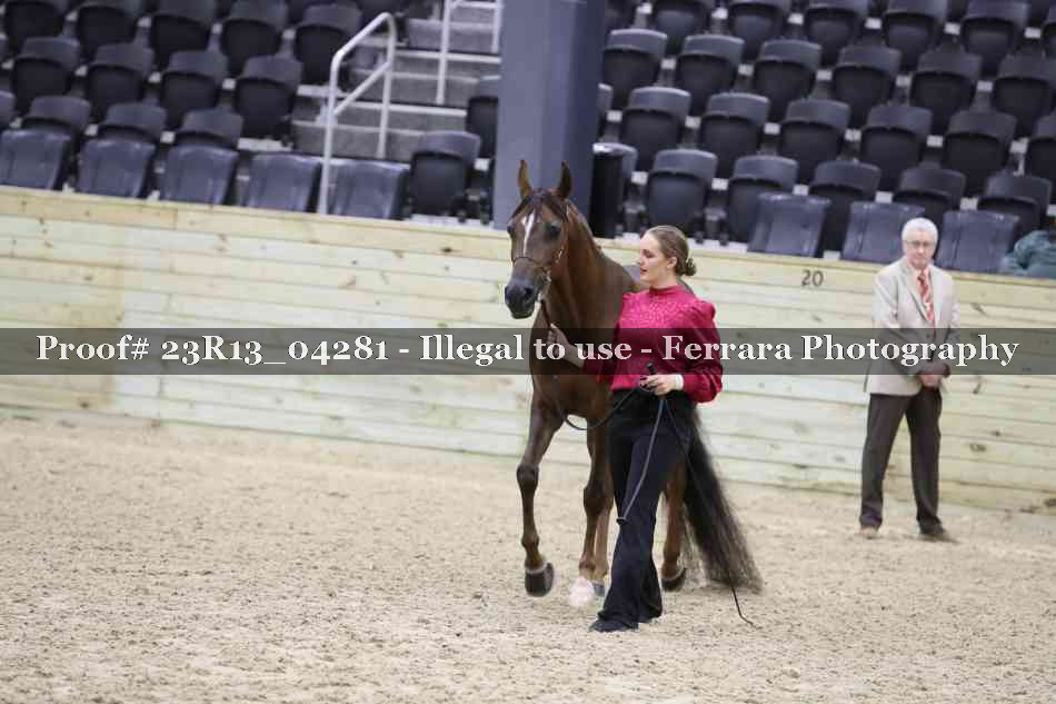 Proof Number 23R13_04281
