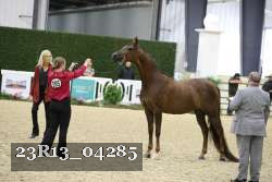 23R13_04285 thumbnail