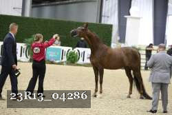 23R13_04286 thumbnail
