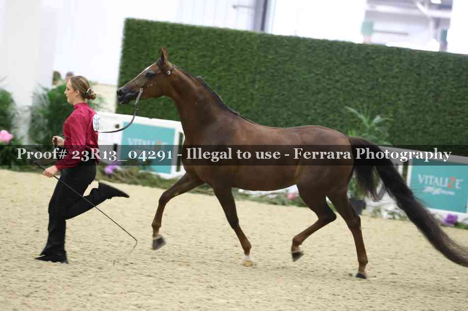 Proof Number 23R13_04291