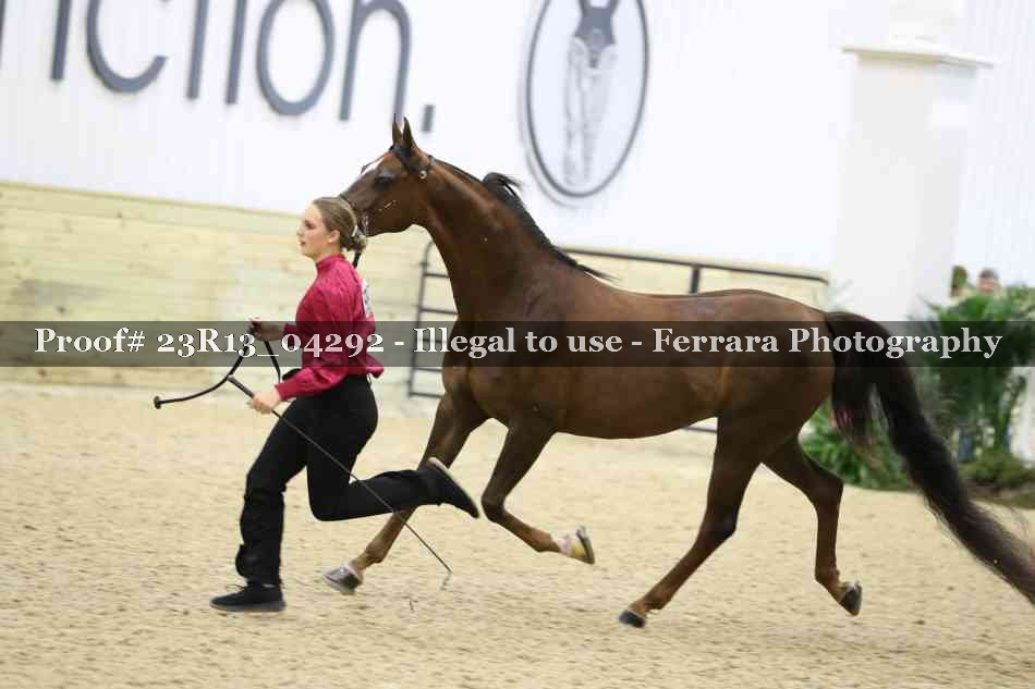 Proof Number 23R13_04292