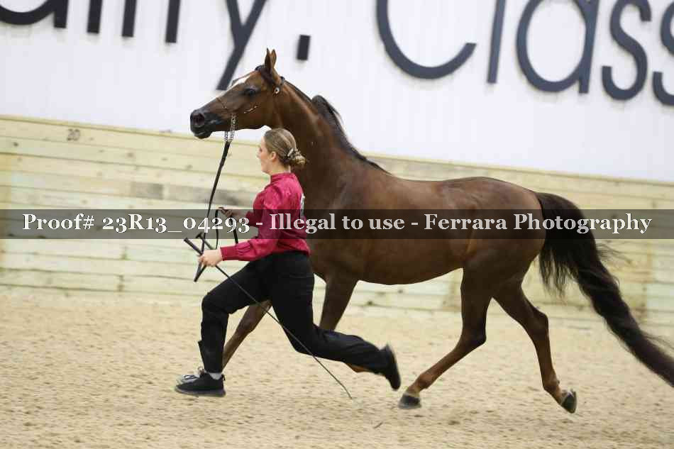 Proof Number 23R13_04293