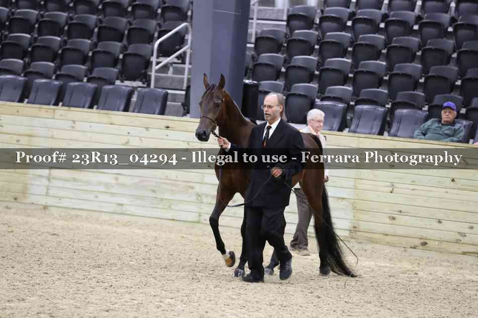 Proof Number 23R13_04294