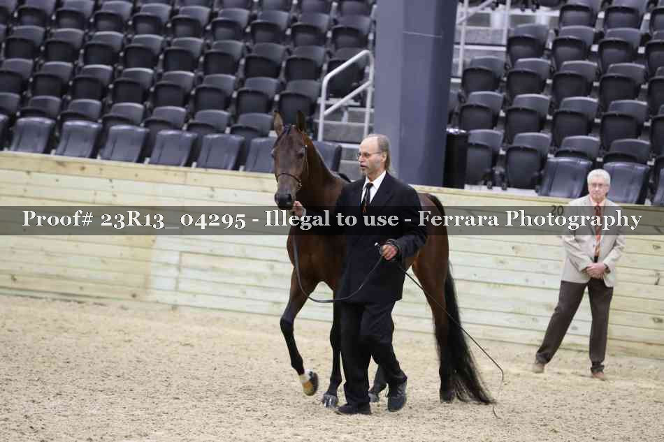 Proof Number 23R13_04295