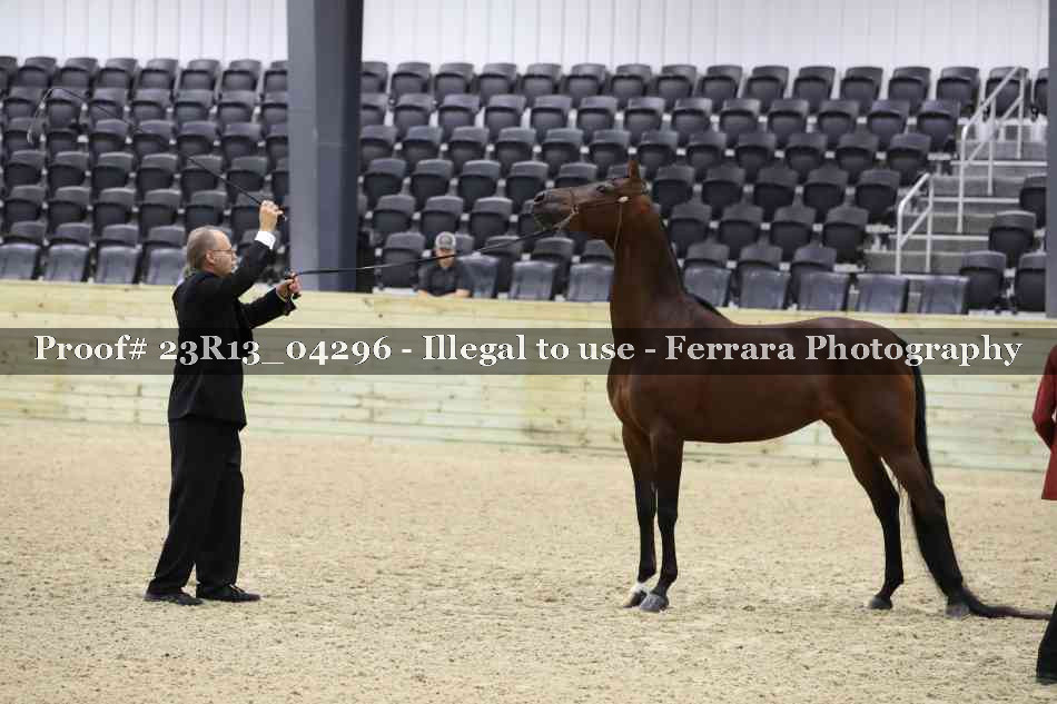 Proof Number 23R13_04296