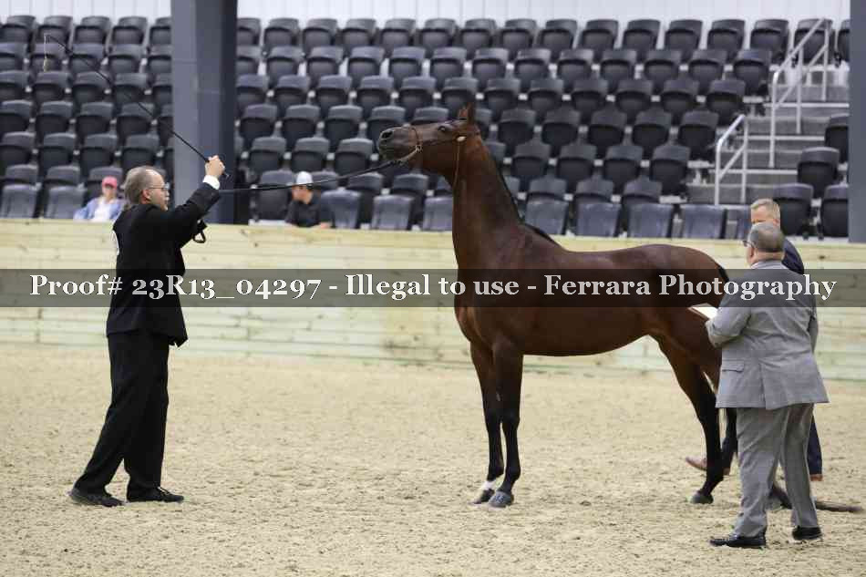 Proof Number 23R13_04297