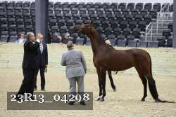 23R13_04298 thumbnail