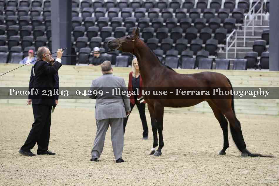 Proof Number 23R13_04299